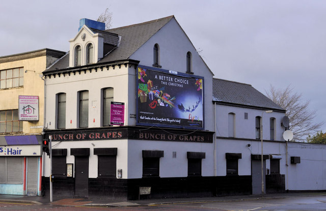 The "Bunch of Grapes", Belfast (1)