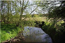 SO8480 : River Stour near Caunsall by P L Chadwick