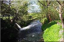 SO8480 : River Stour near Caunsall by P L Chadwick
