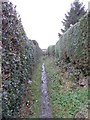 Footpath - West End Lane