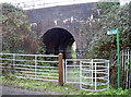 Railway bridge in South Liberty Lane