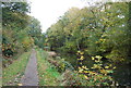 Basingstoke Canal