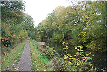 SU8752 : Basingstoke Canal by N Chadwick