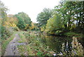 Autumn, Basingstoke Canal