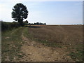 Bridleway at Horwell Corner