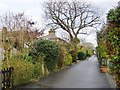 The Model Cottages, Mortlake