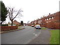 Tinshill Avenue - viewed from Tinshill Mount