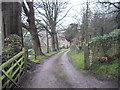 Farm track, East Dundry