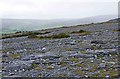 M2203 : The Burren, near Ballyallaban, Co. Clare by P L Chadwick