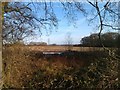 Farmland and woods north of North Baddesley