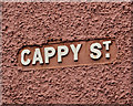 Cappy Street, Belfast (2)