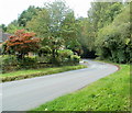 Road from Cwm-bach to Ffynnon Gynydd