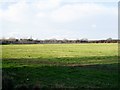 Sports Ground, Bentley