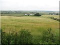 NJ8550 : Barley on the hill of Corsegight by Richard Webb