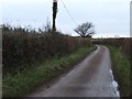 SY1588 : Minor road east of Salcombe Regis by David Smith