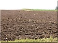 Ploughed field, Haremoss