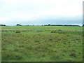 Farmland west of the Downpatrick Road