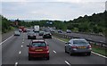 M25