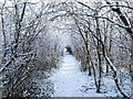 Footpath between Testwood Lakes