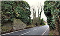 Old railway bridge, Newport/Culcavy (1)