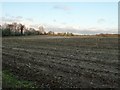 Harvested maize crop by the Greensand Way