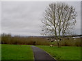 Stockwood: Midday Christmas 2011