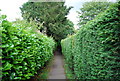 Footpath off Pitfold Avenue