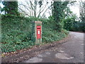 Hightown: postbox № BH24 37, Forest Lane