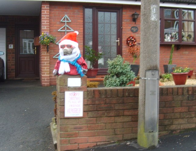 Christmas Pig © Gordon Griffiths :: Geograph Britain and Ireland