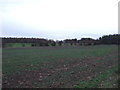 Farmland off Royds Lane