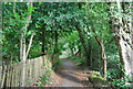 Footpath to Camelsdale