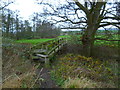 Approaching a footbridge over the River Rother west of Durford Mill