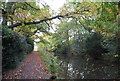 Basingstoke Canal