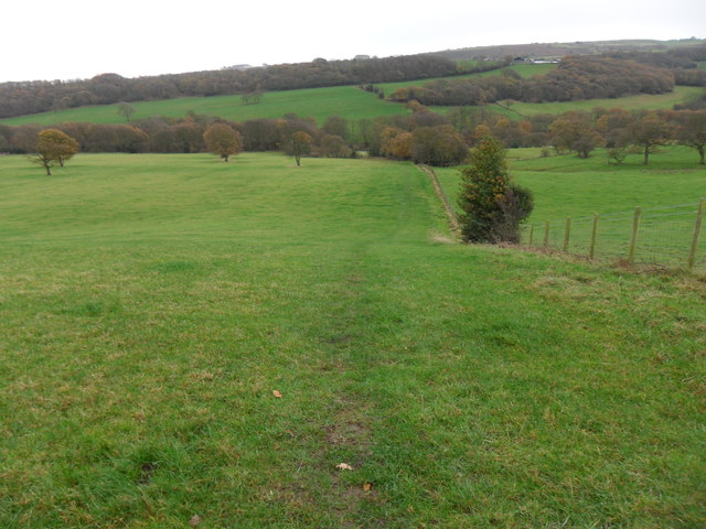 Field path, near Thurstonland