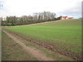 View towards Haughgate House