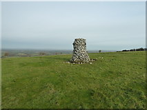TQ4211 : Cairn on Malling Hill by Dave Spicer