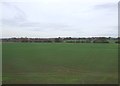 Farmland near Sandy Lane Farm