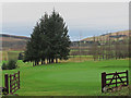 Muckhart Golf Course