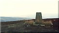 SE0894 : Trig Point on Whit Fell, Stainton Moor by Roger Templeman