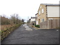 Orchard Drive - looking towards Galloway Lane