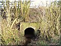 Culvert under the A60