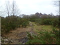 Upper Pennington Common