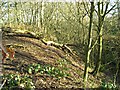 Embankment and moat in Fountain Dale