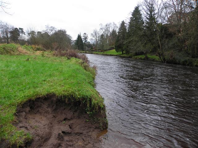 Eroded riverbank, Mullaghmore