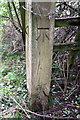 SU4392 : Benchmark on wooden gatepost by Roger Templeman