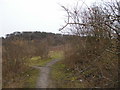 Path leading up Pulpit Hill