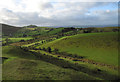 View from Stapeley to Priest Weston