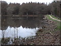 The Dam, Lodge Pond