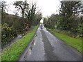 Country road, Tattysallagh