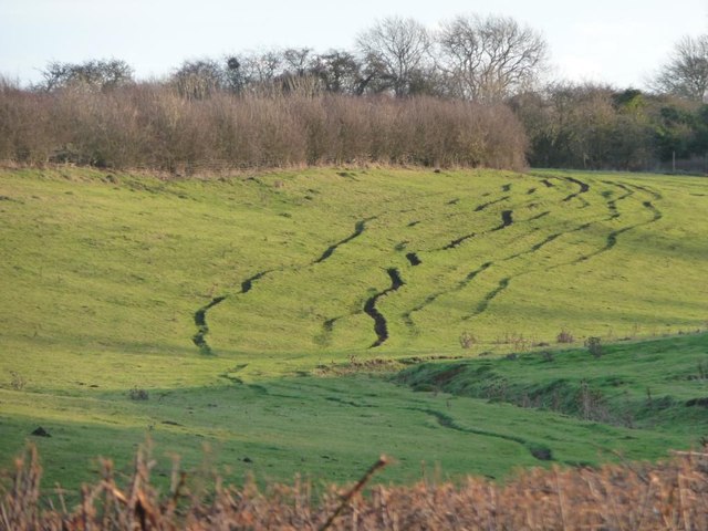 Tracks on a valley side